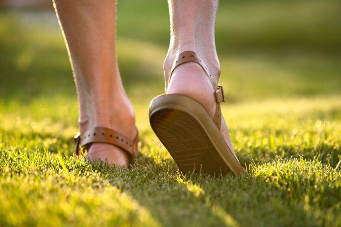 Sandały trekkingowe dla kobiet – x porad, jak dobrać odpowiedni model